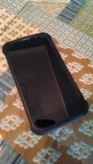 IMAG0054.jpg