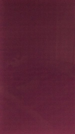 IMAG0237.jpg