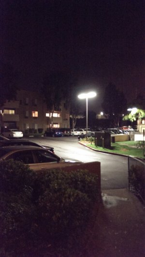 IMAG0239.jpg