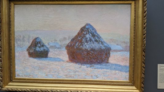 PXL_20240529_221317358.MP.jpg