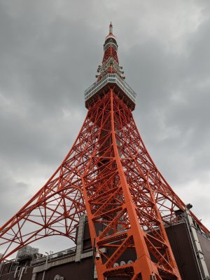 PXL_20240508_035844715.jpg