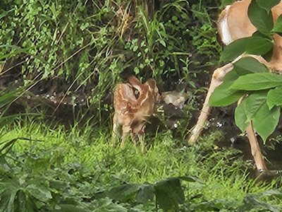 20240605_125018[1].jpg