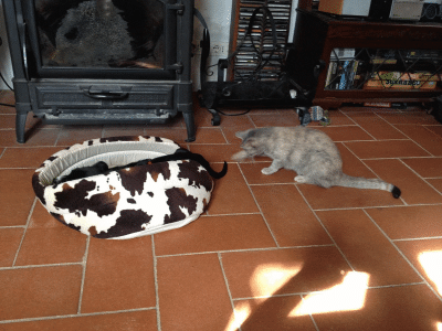 ezgif-1-bfde6f284207.gif
