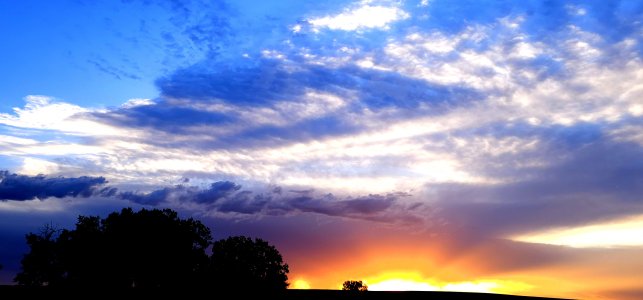 20240602_201157.jpg
