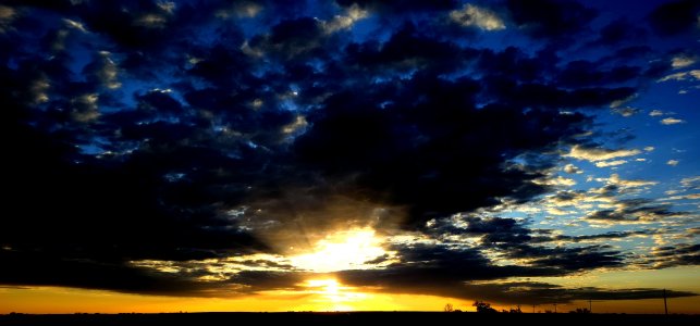 20240423_062821.jpg