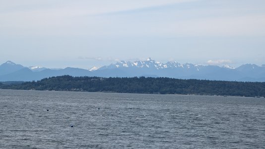 PXL_20240613_201338992.MP-.jpg