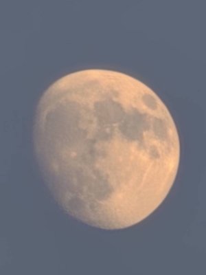 20240618_211100.jpg