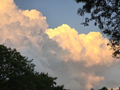 20240621_210521.jpg