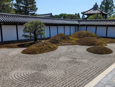 PXL_20240510_051336767.jpg