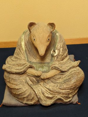 PXL_20240511_044802358.jpg