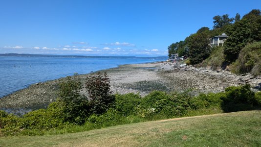 PXL_20240703_181944897.MP--.jpg