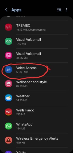 Screenshot_20240706_194059_Settings.jpg