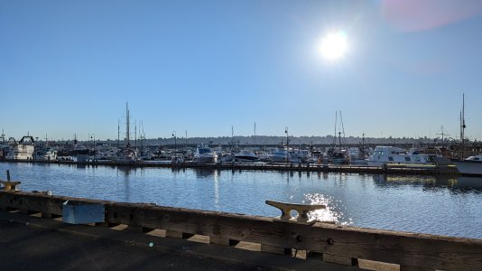 PXL_20240708_141705608.MP.jpg