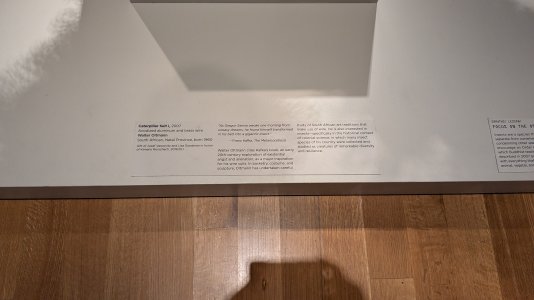PXL_20240710_181328094.MP.jpg