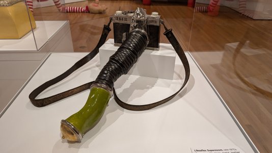 PXL_20240710_180614424.MP.jpg