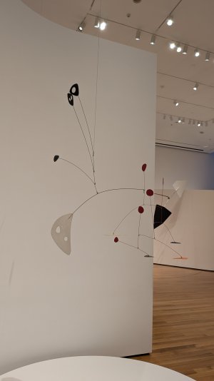 PXL_20240710_172033564.MP.jpg