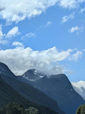 654401671.jpg