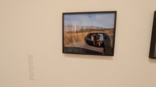 PXL_20240720_214336390.MP.jpg