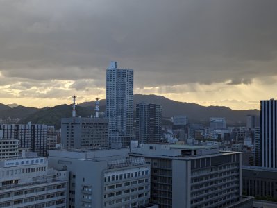 PXL_20240515_210955926.jpg