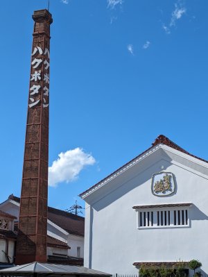 PXL_20240516_065801990.jpg