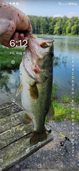 Screenshot_20240809_181220_Niagara Launcher.jpg