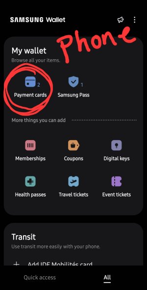 Screenshot_20240812_223155_Samsung Wallet.jpg