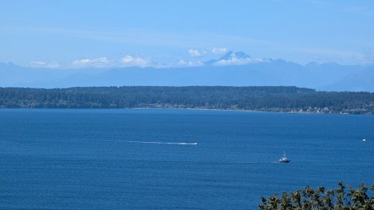 PXL_20240828_195741679.MP-.jpg