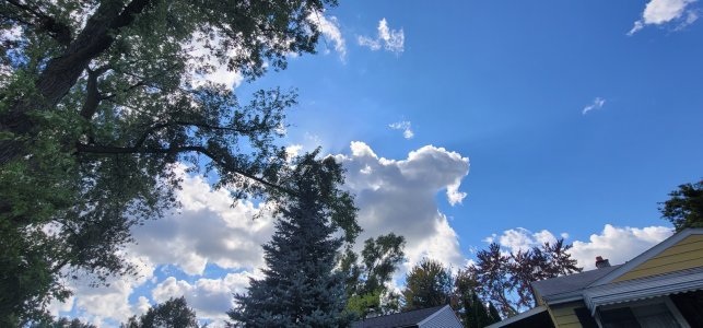 20240909_155909.jpg