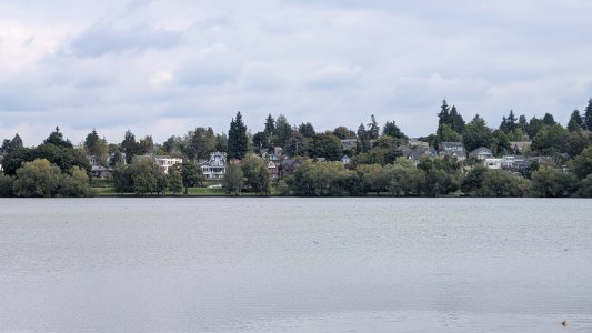 PXL_20240915_211648456.MP-.jpg