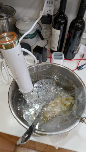PXL_20240917_021103582.MP.jpg