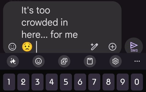 Screenshot_20240918_094835_Messages.jpg