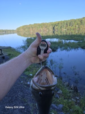 20240920_080143.jpg