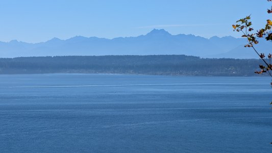 PXL_20240924_220018654.MP-.jpg