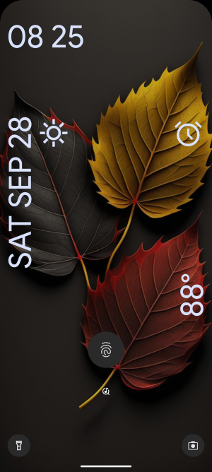 Screenshot_20240928-202559.png
