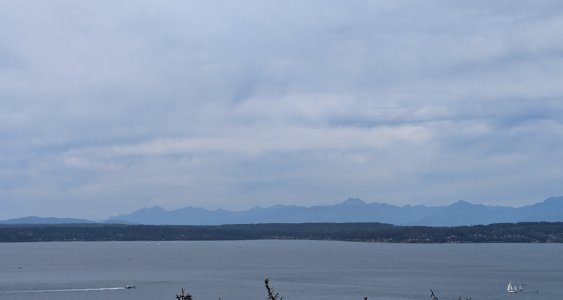 PXL_20240928_194449201.MP-.jpg