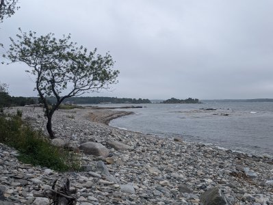 PXL_20240906_171037243.jpg