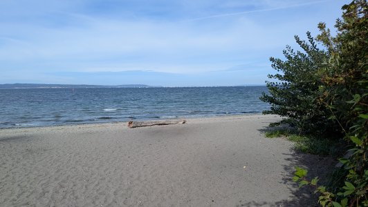 PXL_20241003_194236933.MP-.jpg