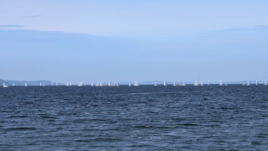 PXL_20241003_194250528.MP-.jpg