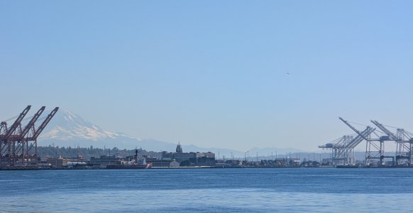 PXL_20241007_205847720.MP-.jpg