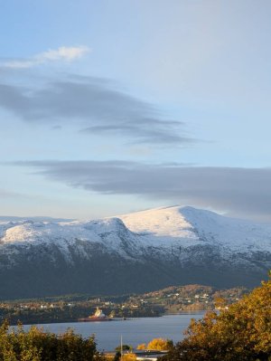PXL_20241012_071315217.jpg