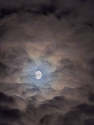 20241014_224826.jpg