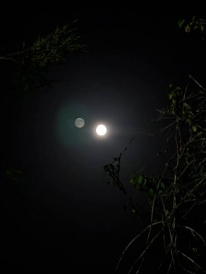 PXL_20241017_201244782.jpg