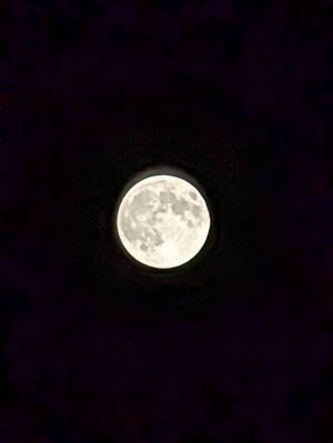 PXL_20241017_201305026.jpg