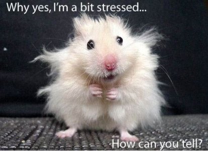 stressedout.jpg