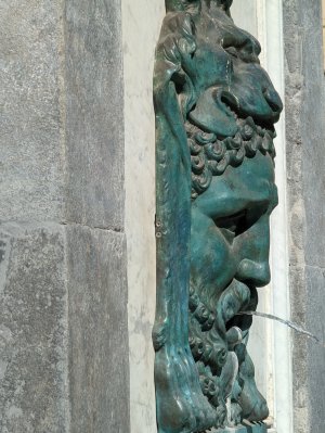PXL_20240913_093720815.jpg
