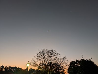 PXL_20241028_111031474 -- A crescent moon greets the dawn on a chilly autumn morning in Durham.jpg