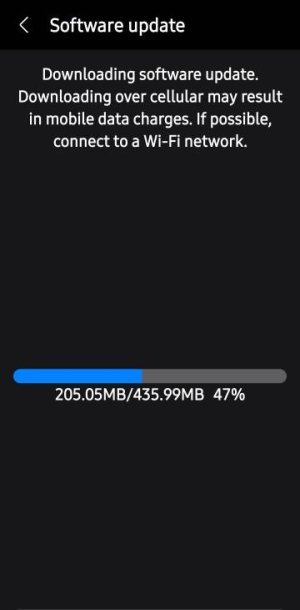 Screenshot_20241101_230701_Software%20Update.jpg