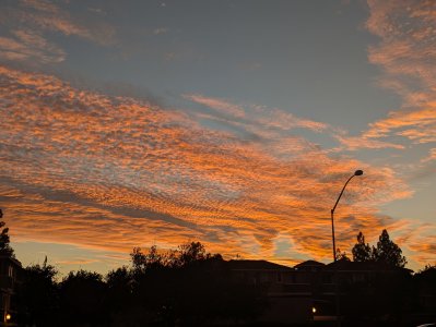 PXL_20241025_142017010.jpg