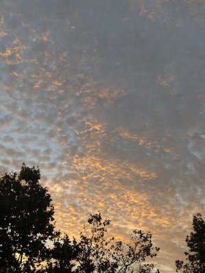PXL_20241025_142642452.jpg
