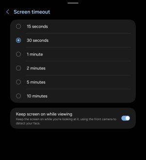 Screenshot_20241120_010334_Settings.jpg